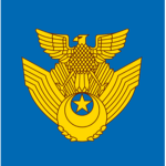 9th Air Wing