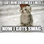 CatgotSWAG_YT Offical Group