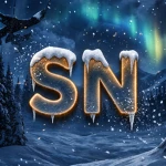 SNOW NIGHT Group Thumbnail