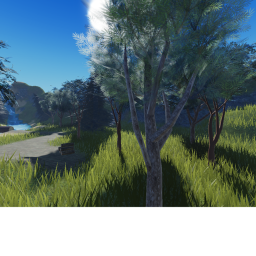 A peaceful place