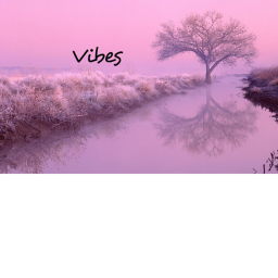 ✧・ﾟ:*   Vibes   ✧・ﾟ:*