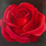 Red Rose Development