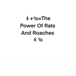 The Power Of Rats And Roaches!