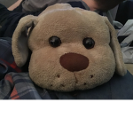 The Puppy ##### Fan Group