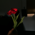 the flora