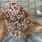 ｡ﾟ douceur ɞ
