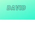 David’s Roblox team