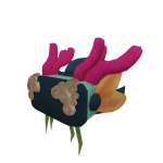 BROKEN HAT
