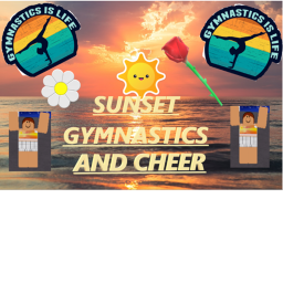 Sunset Gymnastics and Cheer Private Gym!