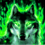 DA WOLF!