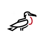 Bird Time Studio