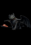 Night fury gang