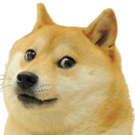 Cookie doges