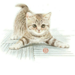 KittyGroup