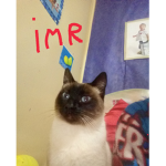 So entra quem e amigo UwU