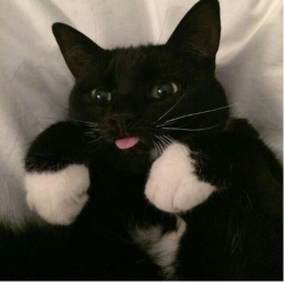 ☆