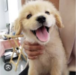 CloudyKins