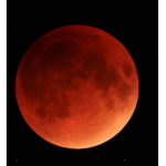 T.B.M(The Blood Moon)