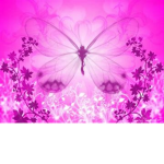 Butterfly Productions