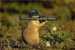 the mariokillers