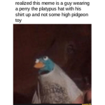 Memes natural habitat
