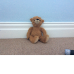 :)teddy