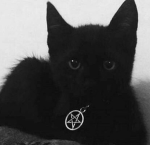 /Tyzify