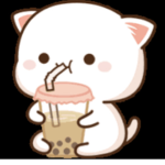Boba Tea Squad -for life-