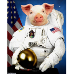 SAVAGE PIG