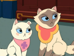 Sagwa's Community