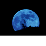 Bluee Moon Cafe <3