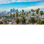 Life Of LA