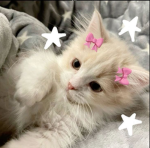 HIIIIIIIIIIIIIIIIIIIIIIIII123
