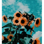 bffl Friend group!!