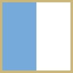 Army de la Republica Argentina