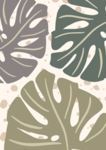 Tropical dimoind