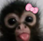 Flowerxpanda group <3