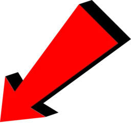 Bo-rio icon