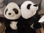 Time panda kawaii