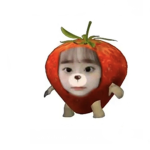 Angeilc