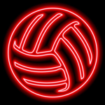 Ace's Volley Ball Academy