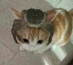 SINKY MINKY