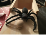 Fake spider oof
