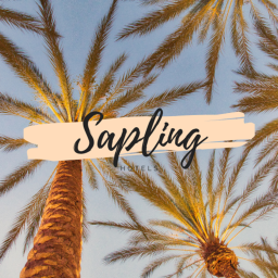Sapling Hotels: Training Center