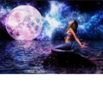 OMG mermaid groups