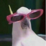 andres : > el pa pa si to B)
