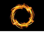 |_The Flame Family_|