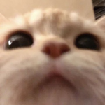 Stream's Nemesis