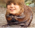 Team Justin beaver