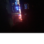 Bluecowlight